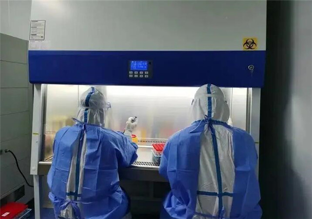 PCR 