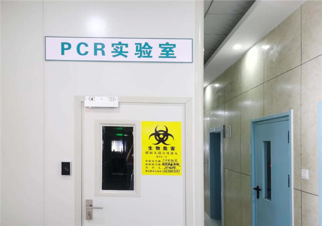 PCR 